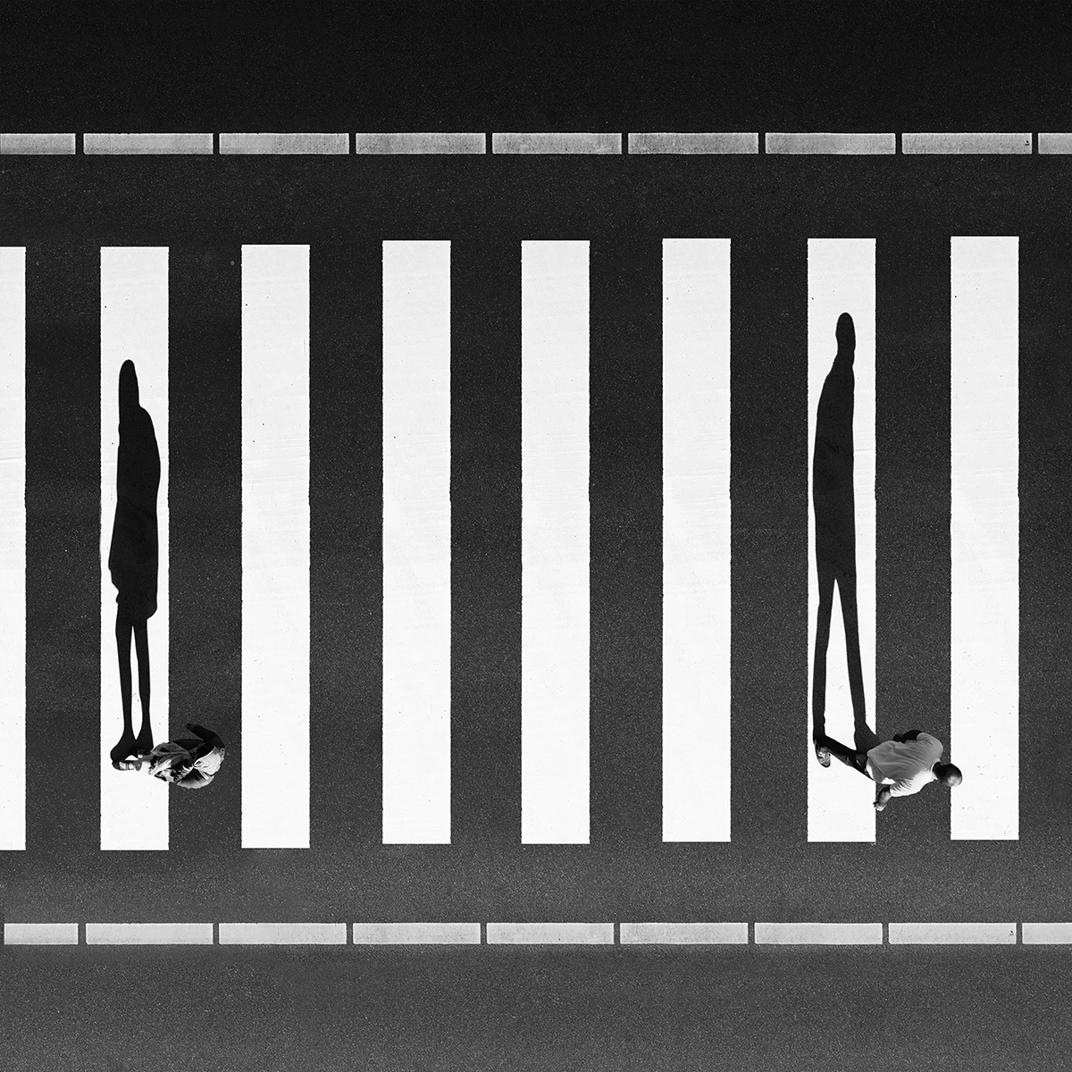 Separation By Milad safabakhsh