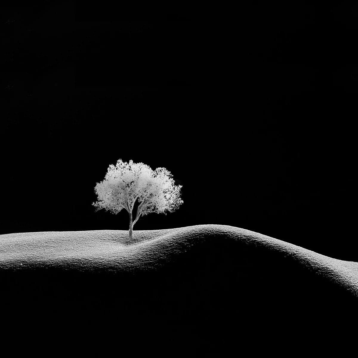 calm sensation by Milad safabakhsh