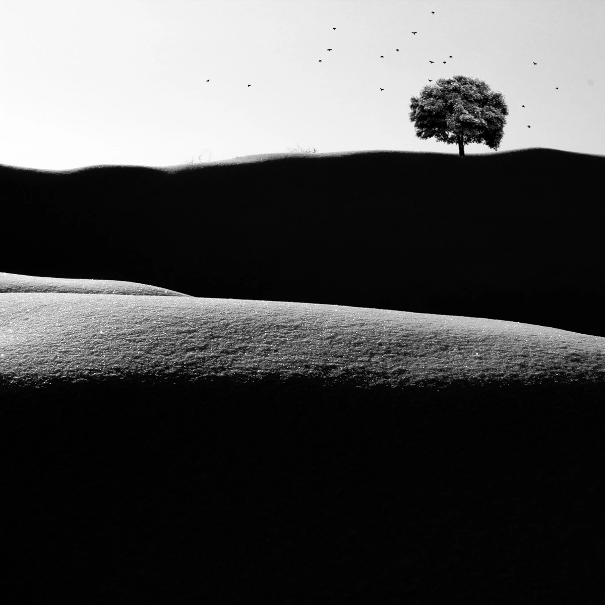 Hills by Milad safabakhsh